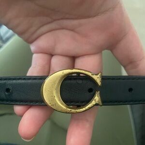 Black Coach Belt with Gold Buckle